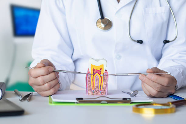 Best Urgent Care for Lost Fillings or Crowns in Totowa, NJ